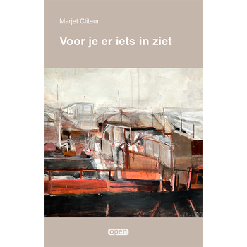 Voor je er iets in ziet (Paperback) bij Singel 344