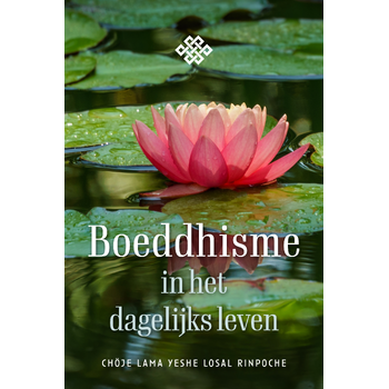Boeddhisme in het dagelijks leven (Paperback) bij Singel 344