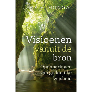 Visioenen vanuit de bron (Paperback) bij Singel 344