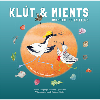 Klút & Mients ûntdekke eb en floed (Hardback) bij Singel 344