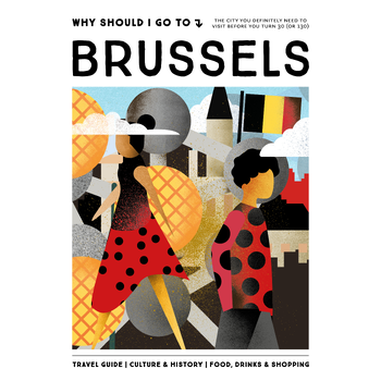Why Should I Go To Brussels (Hardback) bij Singel 344