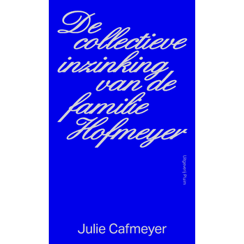 De collectieve inzinking van de familie Hofmeyer (Paperback) bij Singel 344