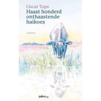 Haast honderd onthaastende haikoes (Paperback) bij Singel 344