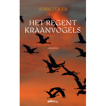 Het regent kraanvogels (Paperback) bij Singel 344