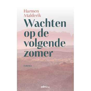 Wachten op de volgende zomer (Paperback) bij Singel 344