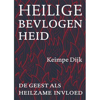 Heilige bevlogenheid (Paperback) bij Singel 344