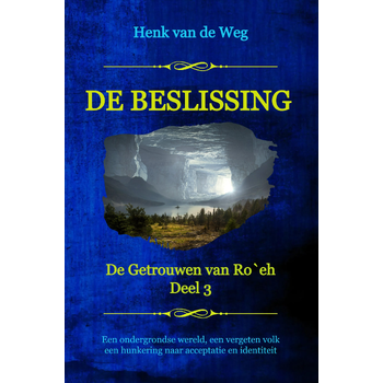 De beslissing (Paperback) bij Singel 344