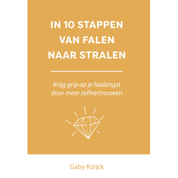 In 10 stappen van falen naar stralen (Paperback) bij Singel 344