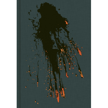 The Wizard of Awe (Hardback) bij Singel 344