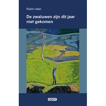 De zwaluwen zijn dit jaar niet gekomen (Paperback) van Robin Veen