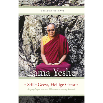 Stille Geest, Heilige Geest (Hardback) bij Singel 344