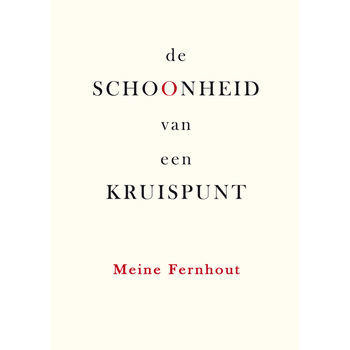 De schoonheid van een kruispunt (Paperback) bij Singel 344