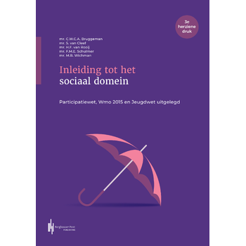 Inleiding tot het sociaal domein (Paperback) bij Singel 344