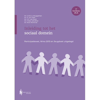 Inleiding tot het sociaal domein (Paperback) bij Singel 344