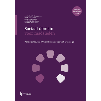 Sociaal domein voor raadsleden (Paperback) bij Singel 344