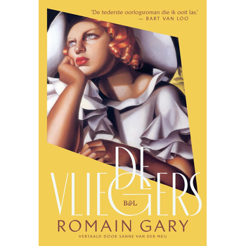 De vliegers (Paperback) bij Singel 344
