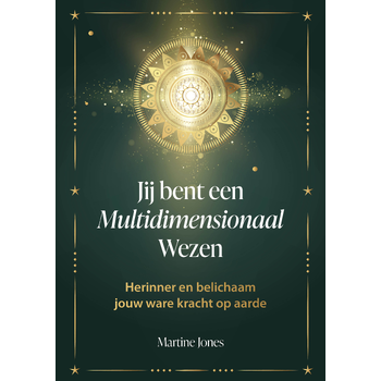 jij bent een multidimensionaal wezen (Hardback) bij Singel 344
