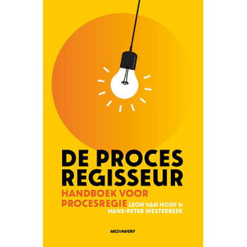 De procesregisseur (Hardback) bij Singel 344