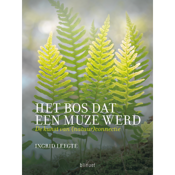 Het bos dat een muze werd (Hardback) bij Singel 344