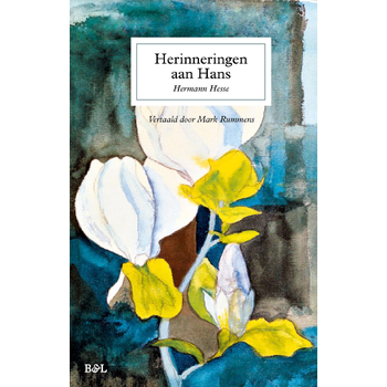 Herinneringen aan Hans (Hardback) bij Singel 344