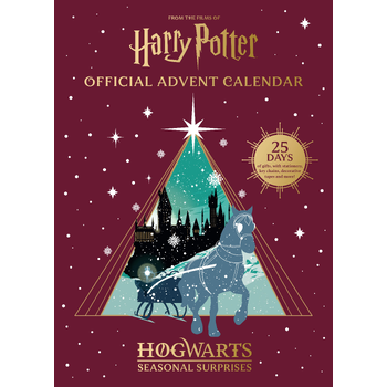 Harry Potter Official Advent Calendar Hogwarts Seasonal Surprises bij Singel 344