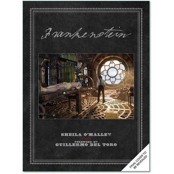 Frankenstein (Hardback) bij Singel 344