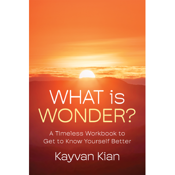What Is Wonder? (Hardback) bij Singel 344